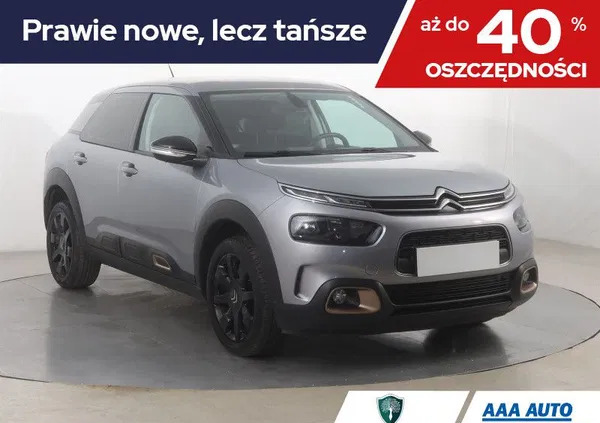 samochody osobowe Citroen C4 Cactus cena 59000 przebieg: 49458, rok produkcji 2019 z Ostróda